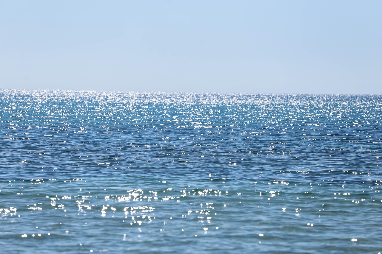 Cross-Platform Compatibility