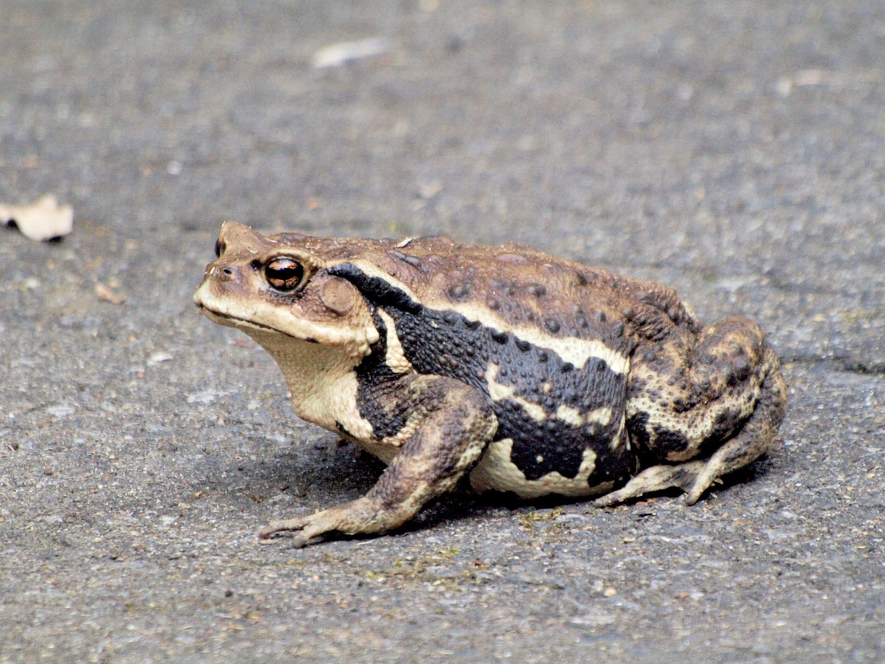 1. Use Version Control Systems